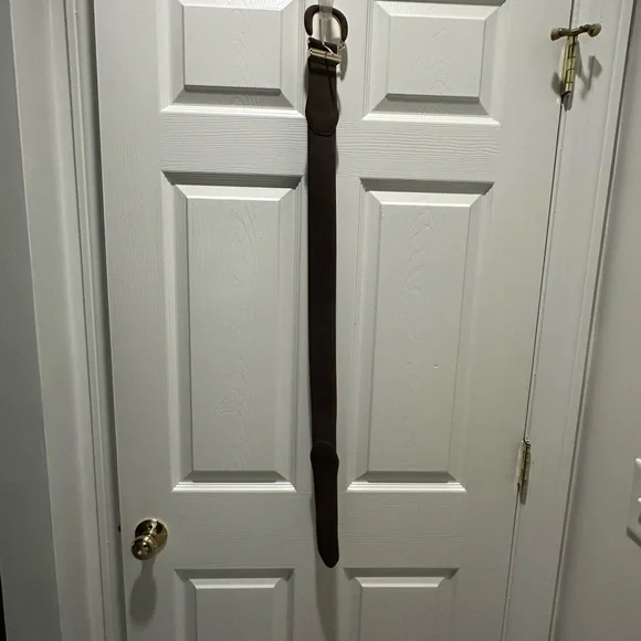 Elegant Brown and Gold Women's Belt - Picture 6 of 6